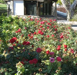 golden era productions entrance