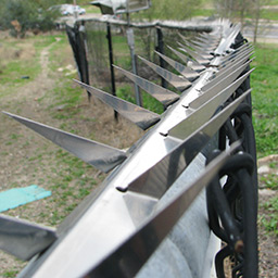 gold base prisoner fence