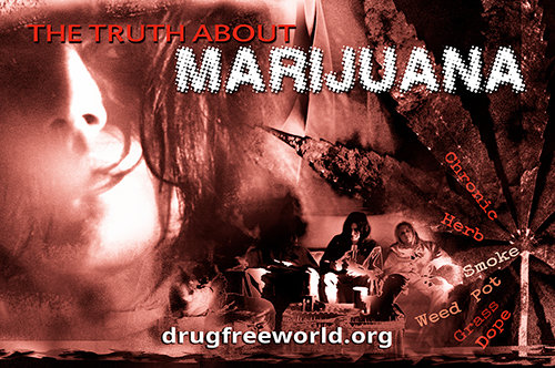 scientology anti-marijuana brochure - foundation for a drug free world